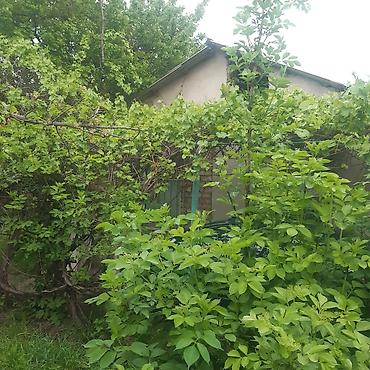 Продажа дач: Продается дача в ТС Бек тоо — 7