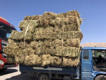 оптом орех: Предлагается большой объем тюкованного сена. Сено аккуратно