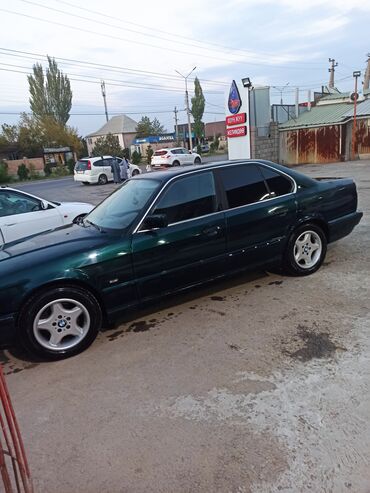 машина ала бука: BMW 5 series: 1994 г., 2.5 л, Автомат, Бензин, Седан