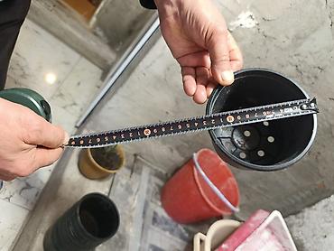 dibcək gulləri satışı: Tecili satilir hamsi birlikde tek tek verilmir 90 yaxin boyuk qablardi — 7