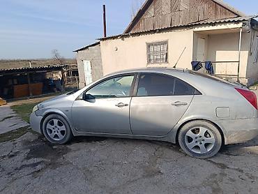 sprinter 4 4: Nissan Primera: 2005 г., 1.8 л, Автомат, Бензин, Лифтбек — 3