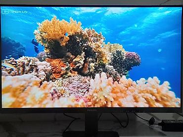 Мониторы: Монитор, Philips, Новый, LCD, 23" - 24" — 10