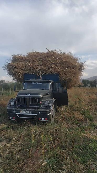 Грузовики: Грузовик, ЗИЛ — 2