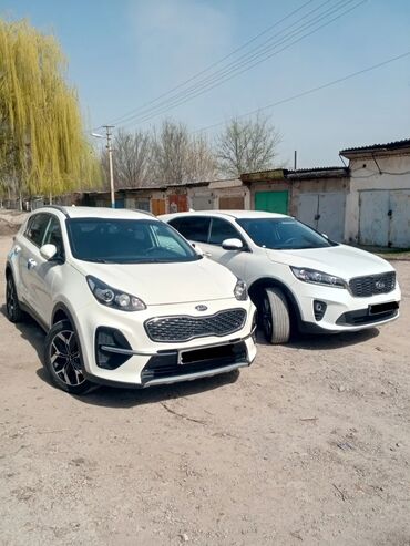 Kia: Kia Sorento: 2019 г., 2 л, Автомат, Дизель, Внедорожник