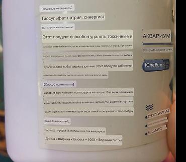 аквариумный: Аквариумные растения в пучках - Криптокорина (несколько розеток с — 5
