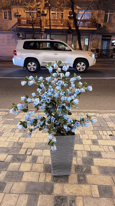 Ağaclar: Depodan bir basa satis 70azn baslayan dekarativ suni agaclar topdan — 9