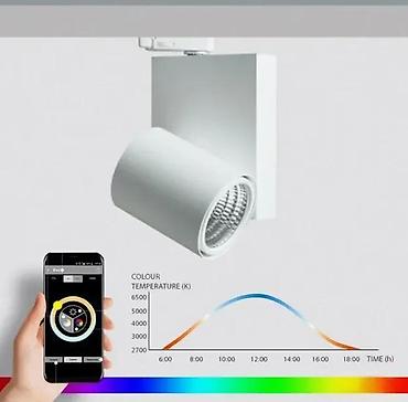 Rasveta: Kiteo K-Forum Stromschienenstrahler PI‑LED, NeoLink – crni - Tip: LED — 11