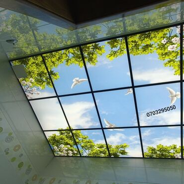 Asma tavanlar: Asma tavan, Suyadavamlı, Pulsuz çatdırılma, Zəmanətli — 3