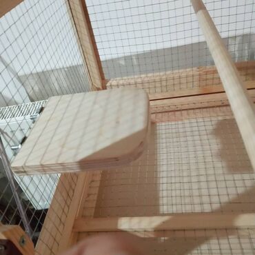 Oyuncaqlar: Taxta qəfəs aksesuarları zoo alemi üçün tebii budaqdan hazirlanir - -da lalafo.az — 3 Oyuncaqlar: Taxta qəfəs aksesuarları zoo alemi üçün tebii budaqdan hazirlanir - — 3