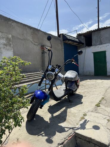 moped elektro: - City Coco, 100 sm3, 2024 il, 1 km