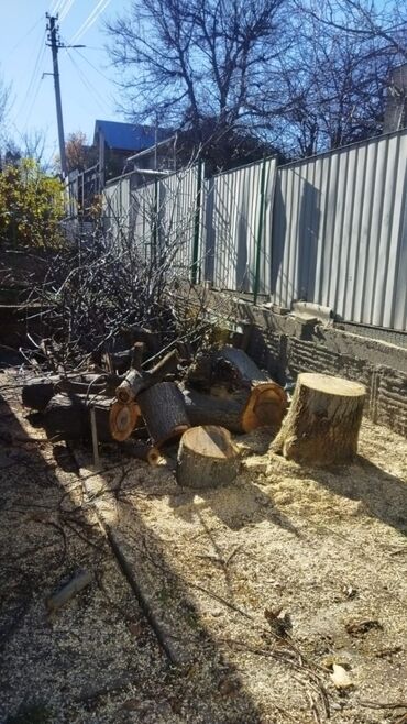 Спил деревьев, заготовка дров: Пилю деревья цена индивидуально! Пилю дровабревна 1500 - с/куб — 12