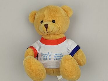 Mascot Teddy bear, condition - Perfect