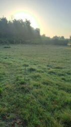 купить землю в баку: 14 sot, Kənd təsərrüfatı, Kupça (Çıxarış)