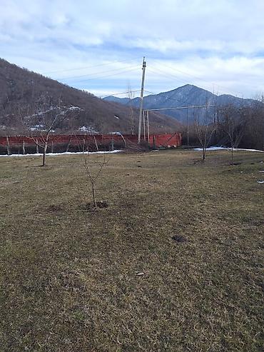 Torpaq sahələrinin satışı: Tikinti — 5