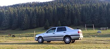 Volkswagen: Volkswagen Vento: 1993 г., 1.8 л, Механика, Бензин, Седан — 4