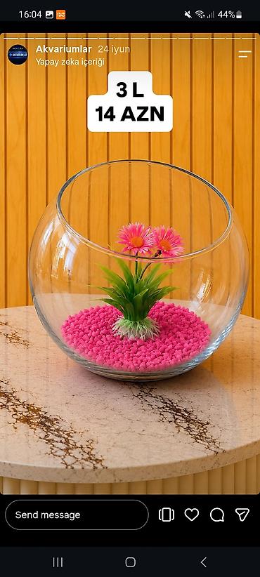 skat balığı: Hazır Danio Akvarium Dəsti Evinizə rəng və canlılıq qatan kompakt — 2