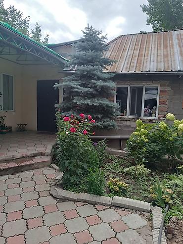 чон: Бизнес менен Чон -Арыктан биринчи линиядан Уй сатылат 350000$ — 9
