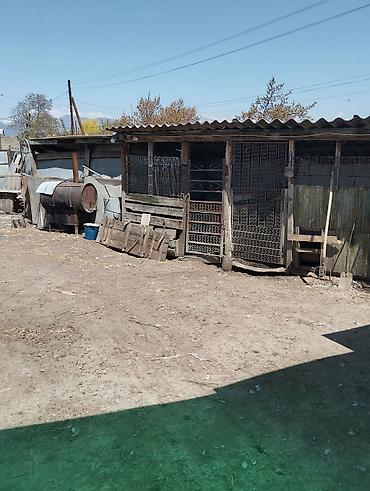 Продажа коттеджей и домов: Продается дом с участком для отличного отдыха всей семьёй и ведения at lalafo.kg — 4 Продажа коттеджей и домов: Продается дом с участком для отличного отдыха всей семьёй и ведения — 4