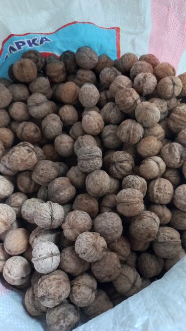 кумыс с медом бишкек: Грецкие орехи в скорлупе - Натуральные цельные ядра в крепкой