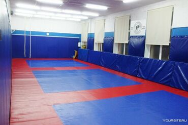 Другое для спорта и отдыха: Дзюдо татами Мат Мат Мат 1)Дзюдо маты 2)Маты борцовские UWW — 2