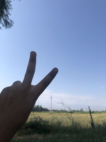 чехлы на айфон 12 про макс: IPhone X, Колдонулган, 256 ГБ, Ак, 100 %