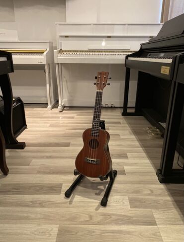 gitara tornado: Ukulele, Yeni