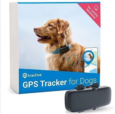 vrste bisona: Gps ogrlica za ljubimce. gps ogrlica za ljubimce gps traker za pse — 1