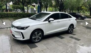 byd flyer: BYD : 2019 г., 0.1 - engine capacity л, Автомат, Электромобиль, Седан