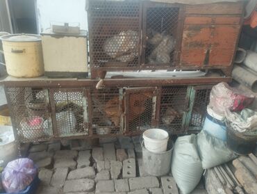 Товары и оборудование для с/х животных: Продаю два кролятника
