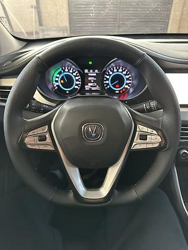 Changan: Changan Eado: 2019 г., Автомат, Электромобиль, Седан — 9
