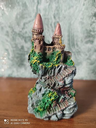 Аквариумы: Водоросли живые: Анубиас Бартера, нана ( цветут белыми и розовыми — 7