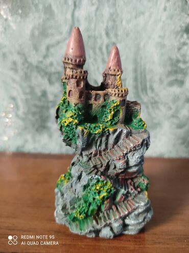 Аквариумы: Водоросли живые: Анубиас Бартера нана ( цветёт белыми и розовыми — 12