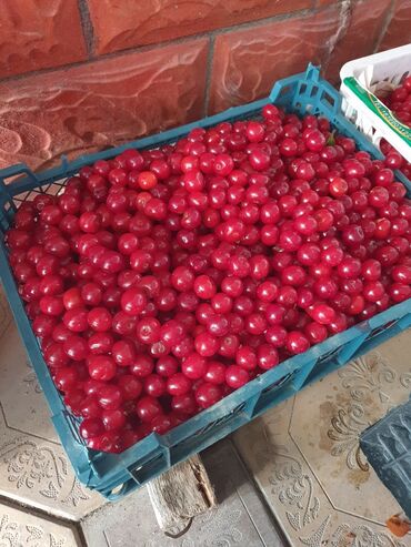 гусиное мясо цена: Вишня- 1кг-100с