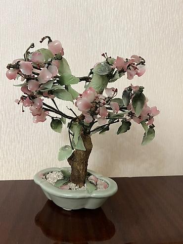 Əl işidir qədimiDekorativ süni bonsai ağacı - Material: daş/şüşə lalafo.az -da Əl işidir qədimiDekorativ süni bonsai ağacı - Material: daş/şüşə