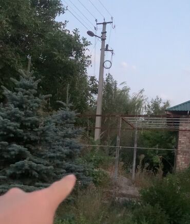 водяной насос для частного дома: Саженцы деревьев: Туи, Платная доставка