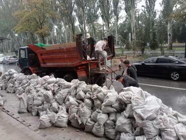 Демонтажные работы: Снос стен, Разбор полов, Снятие потолков | Гипсокартонная стена, Снос перегородки, Снятие старой штукатурки | Зачистка от старых обоев, Сбивка старой штукатурки, Снятие извести | Демонтаж ламината, Демонтаж паркета, Демонтаж линолеума | Крыша из шифера, Металлочерепичная кровля, Мягкая кровля 3-5 лет опыта — 6