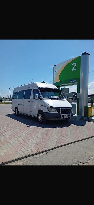 мото 300: Пункт назначения: Все направления, Лицензия №: 123456 — 2