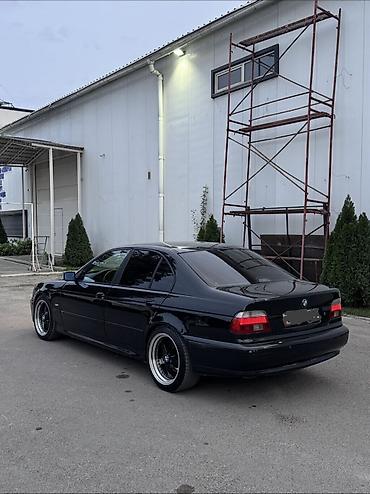 e 55 amg: BMW 5 series: 2002 г., 2.5 л, Механика, Бензин, Седан — 3