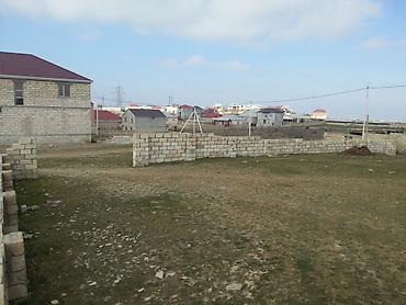 Torpaq: 8 sot, Mülkiyyətçi, Kupça (Çıxarış) — 1