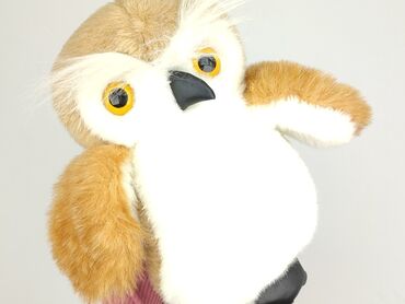 bielizna termoaktywna dziecięca allegro: Mascot condition - Perfect