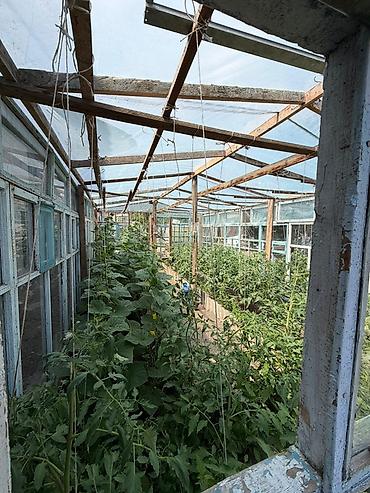 Продажа коттеджей и домов: 🏡 Продаётся капитальный кирпичный дом в центре города 📍 Локация — 13
