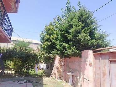 masazırda satılan evlər: 7 otaqlı, 500 kv. m, Kredit yoxdur — 9