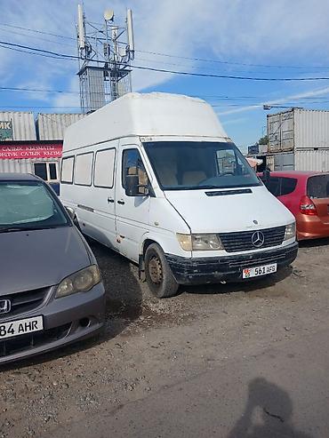 transporter multivan: Mercedes-Benz Sprinter, высокий длиннобазный фургон (макси). Кузов: - — 3