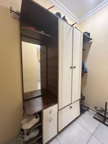 Dolablar: Açılan, 2 qapılı Düz dolab, Dəhliz dolabı