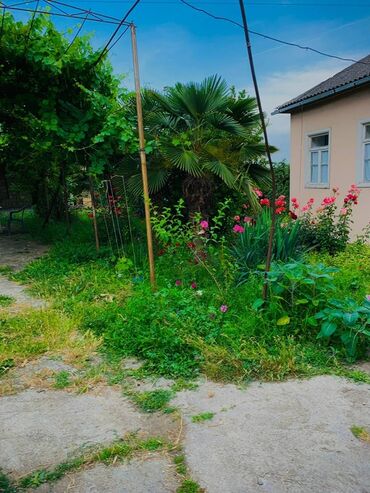 болгарка бош 230: Qubada ev Quba Ev Qubada Evler tam etrafli için zeng edin yada