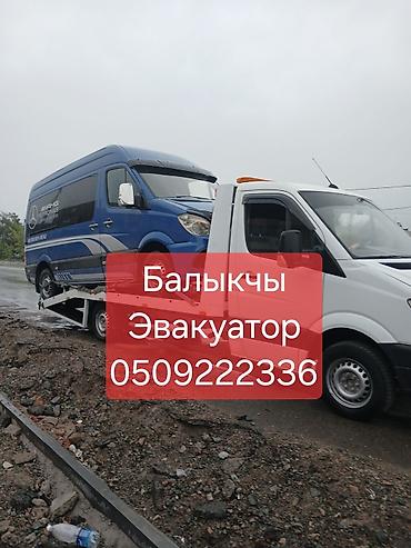работа вышивка: С лебедкой — 1