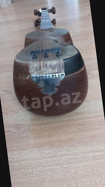 tar qabi: Bahadur tarı.Tam professional alətdi.Super səs temri var.İri — 1