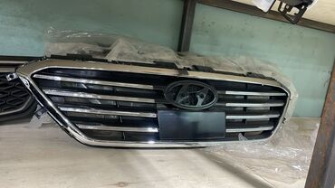 Oblisovkalar, barmaqlıqlar: Hyundai SONATA, 2016 il, Ödənişli çatdırılma