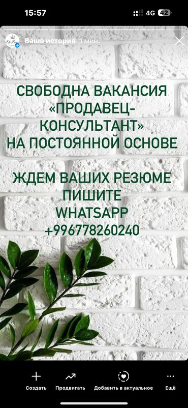 магазин спортивной одежды бишкек: Сатуучу консультант