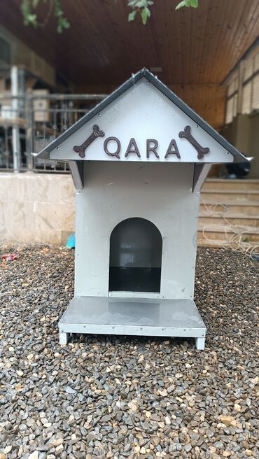 göyercin yuvası: Böyük və orta ölçülü itlər üçün nəzərdə tutulmuş, qəhvəyi rəngli sümük